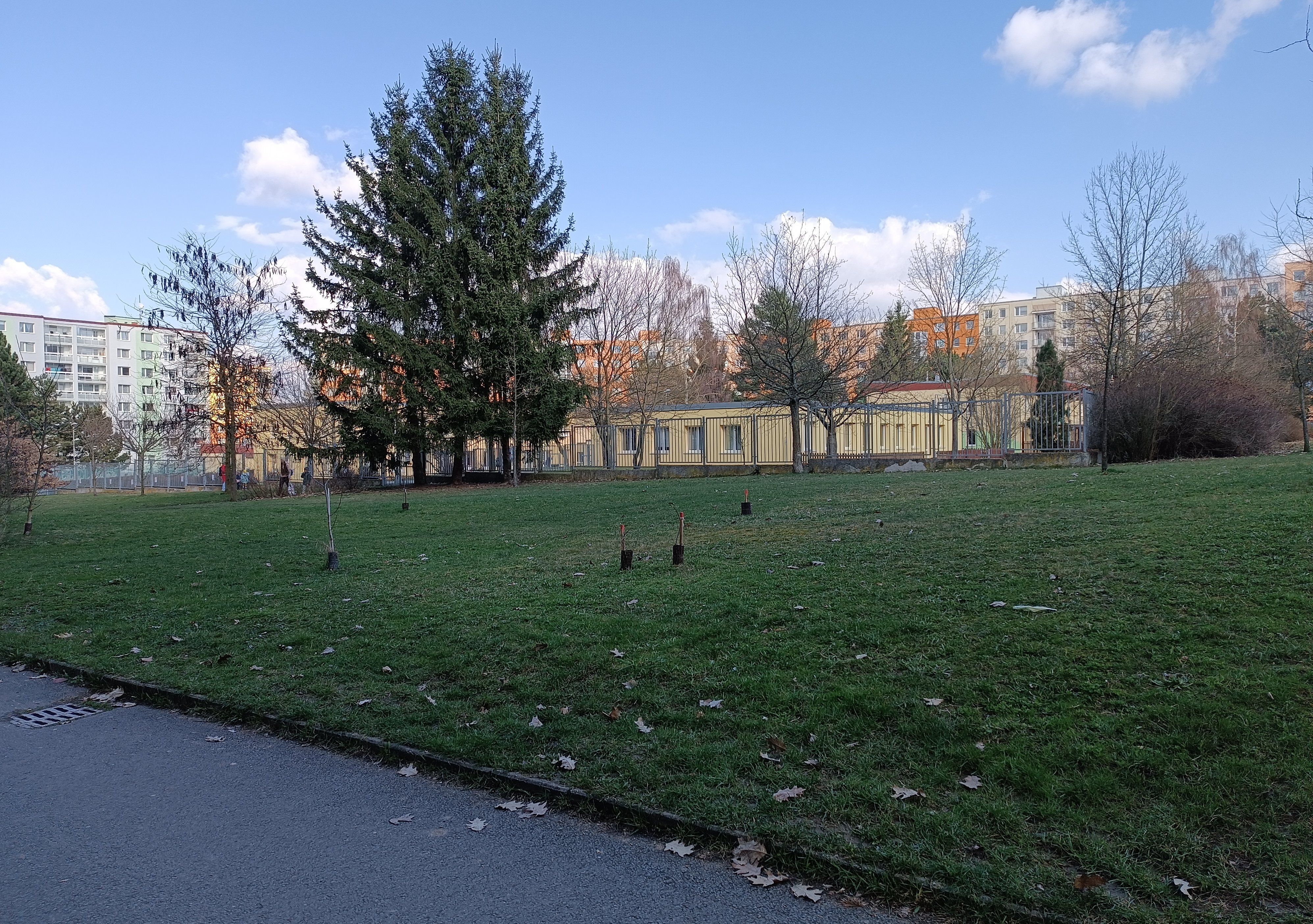 Neřízená výsadba dřevin