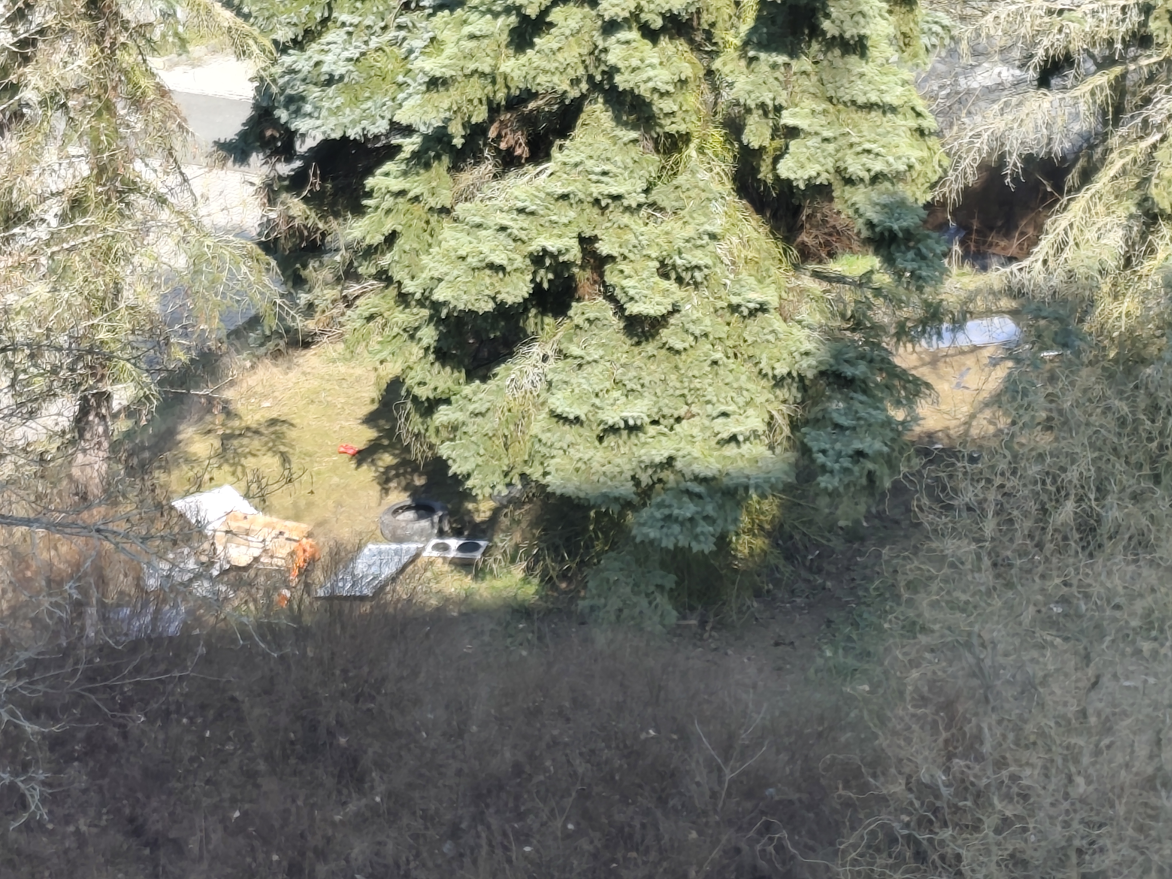 Fotografie nahlášení