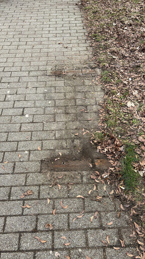 Vyvrácená lavička