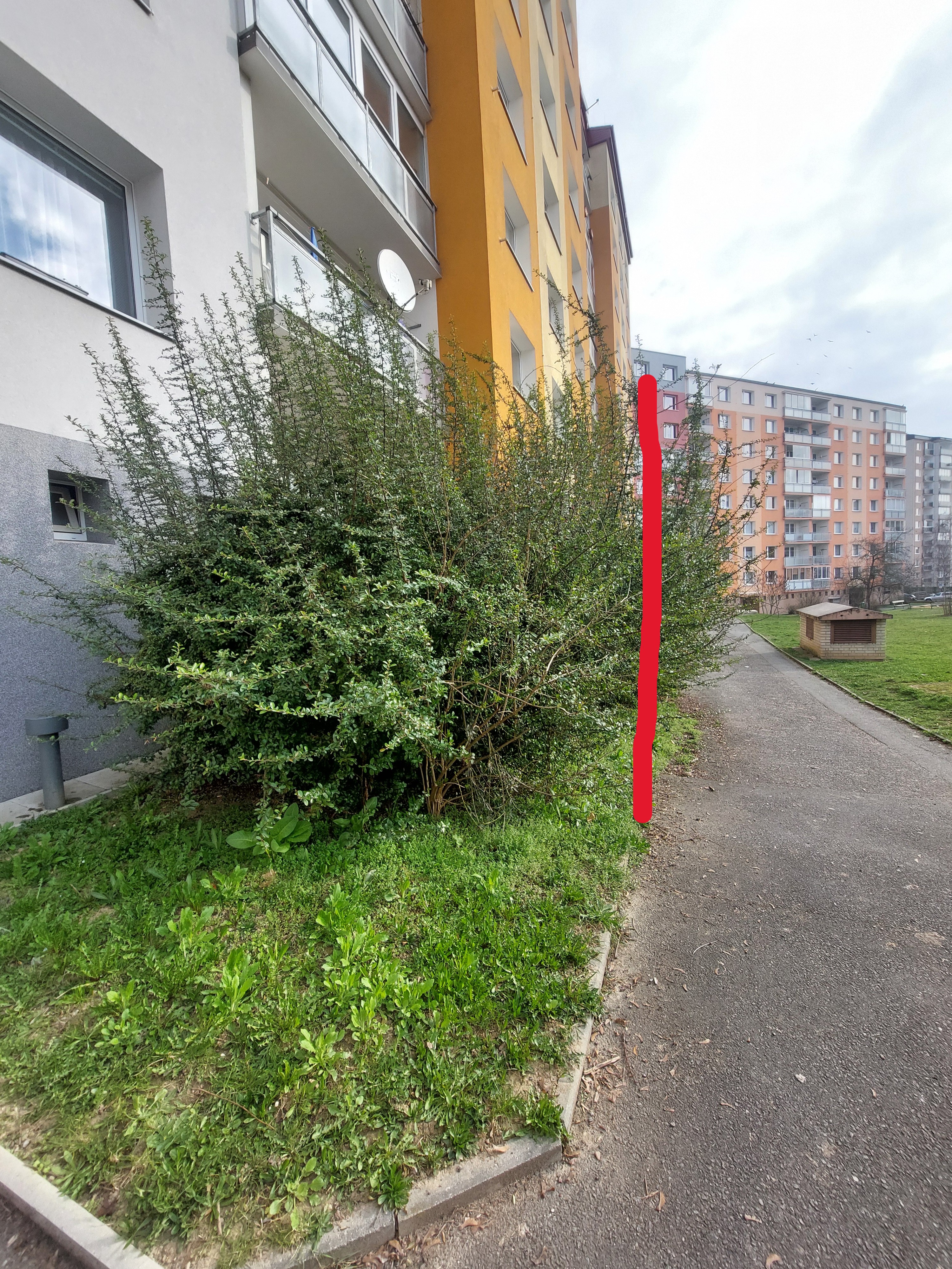 Zastřižení keřů