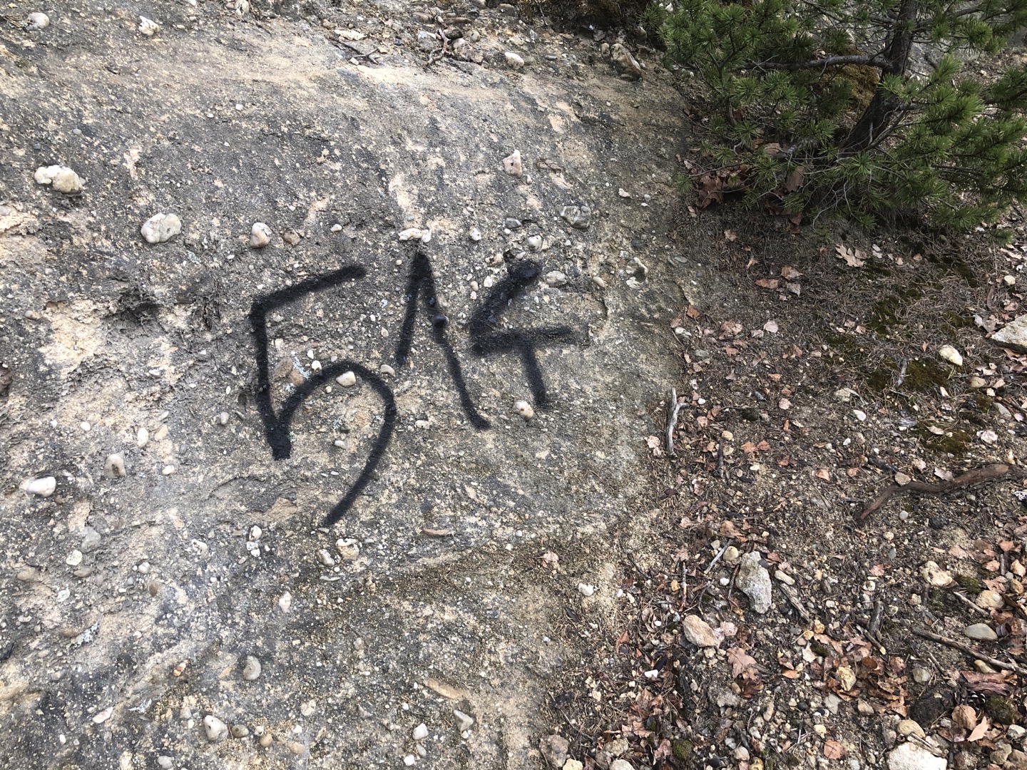 Fotografie nahlášení