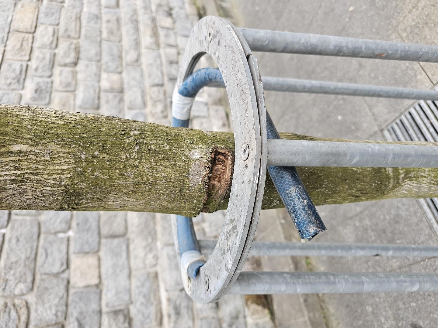 Konstrukce poškozuje stromy