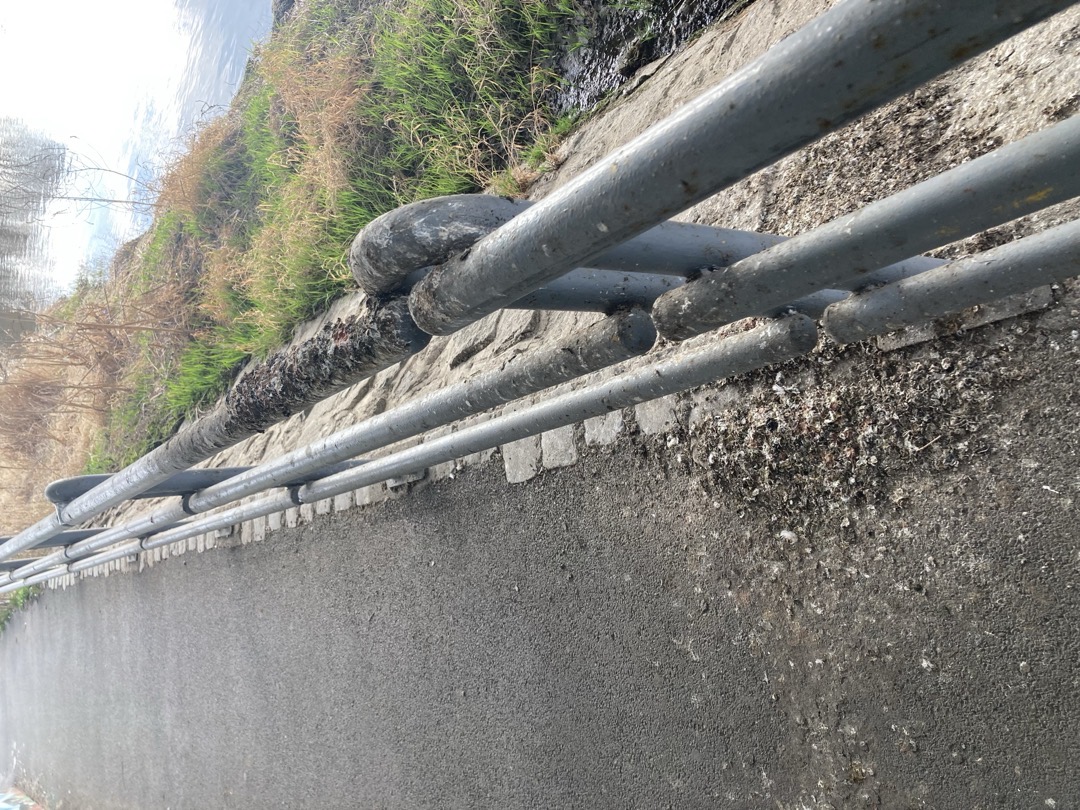 Fotografie nahlášení