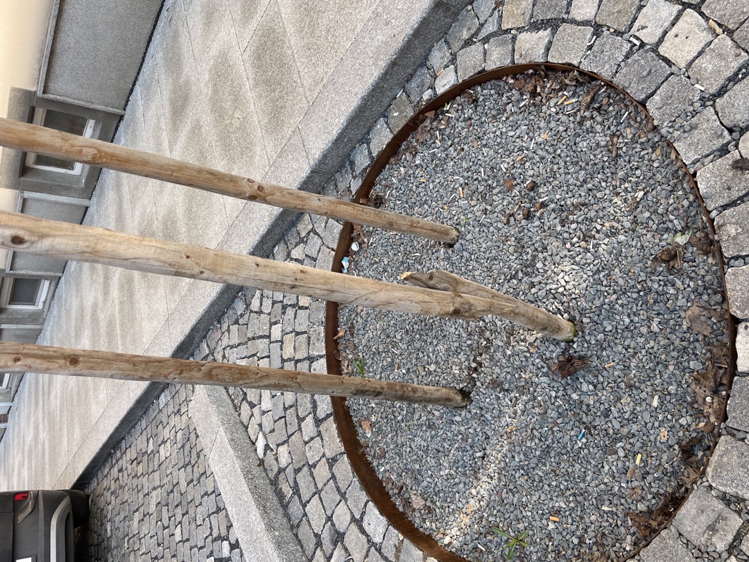 Zlomená podpěra stromku