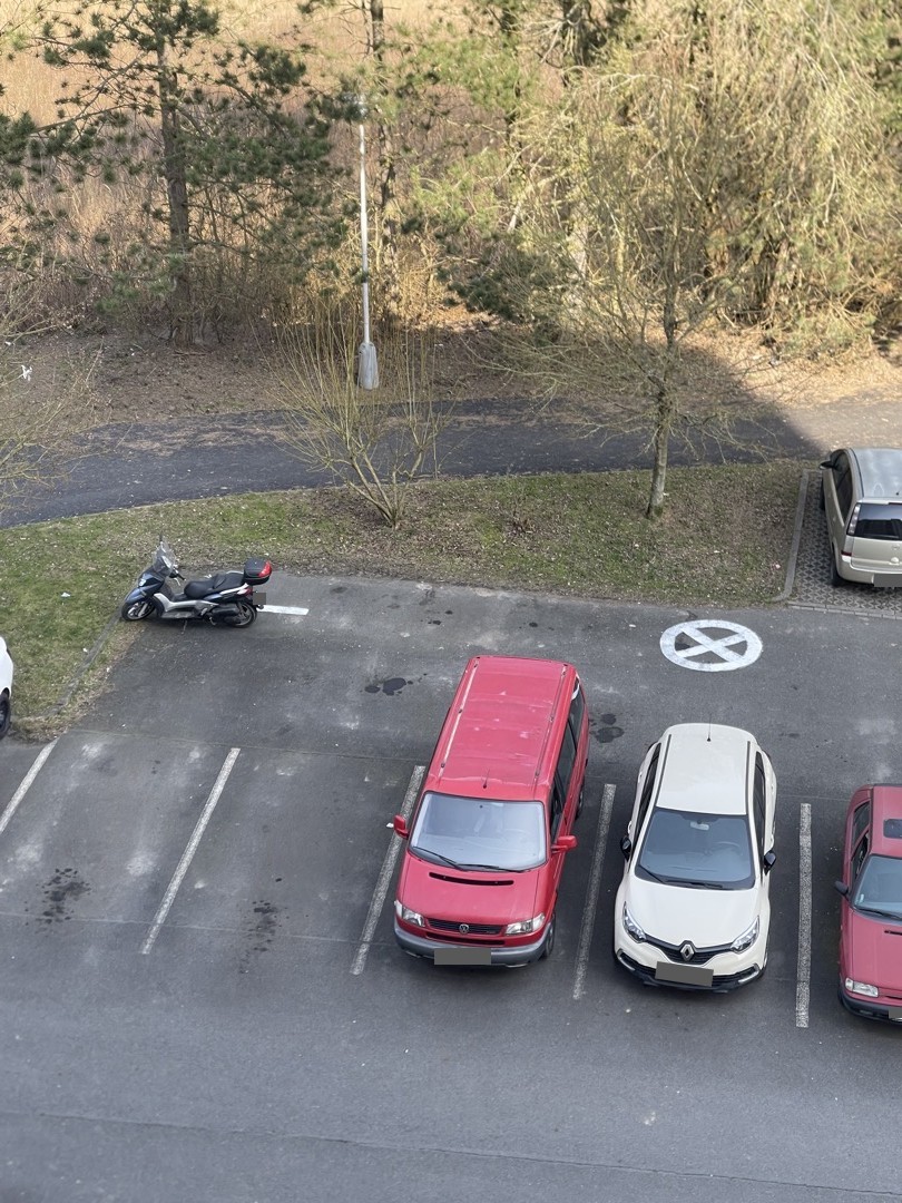 Nelegální úprava parkoviště