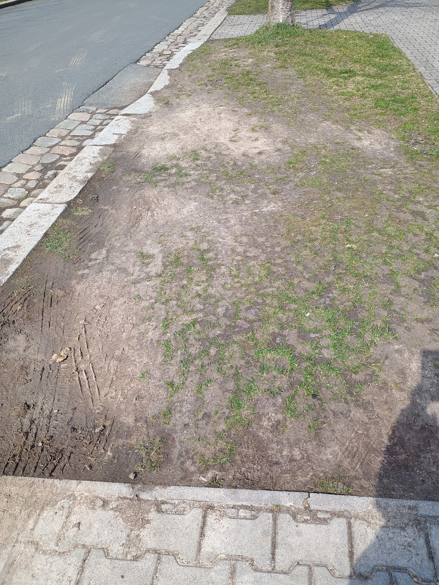 Zničené trávníky