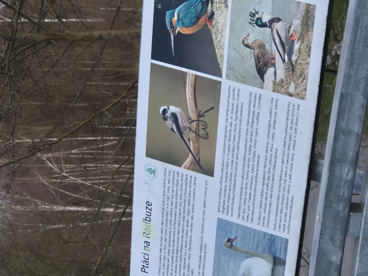 Nevkusně pomalované tabule