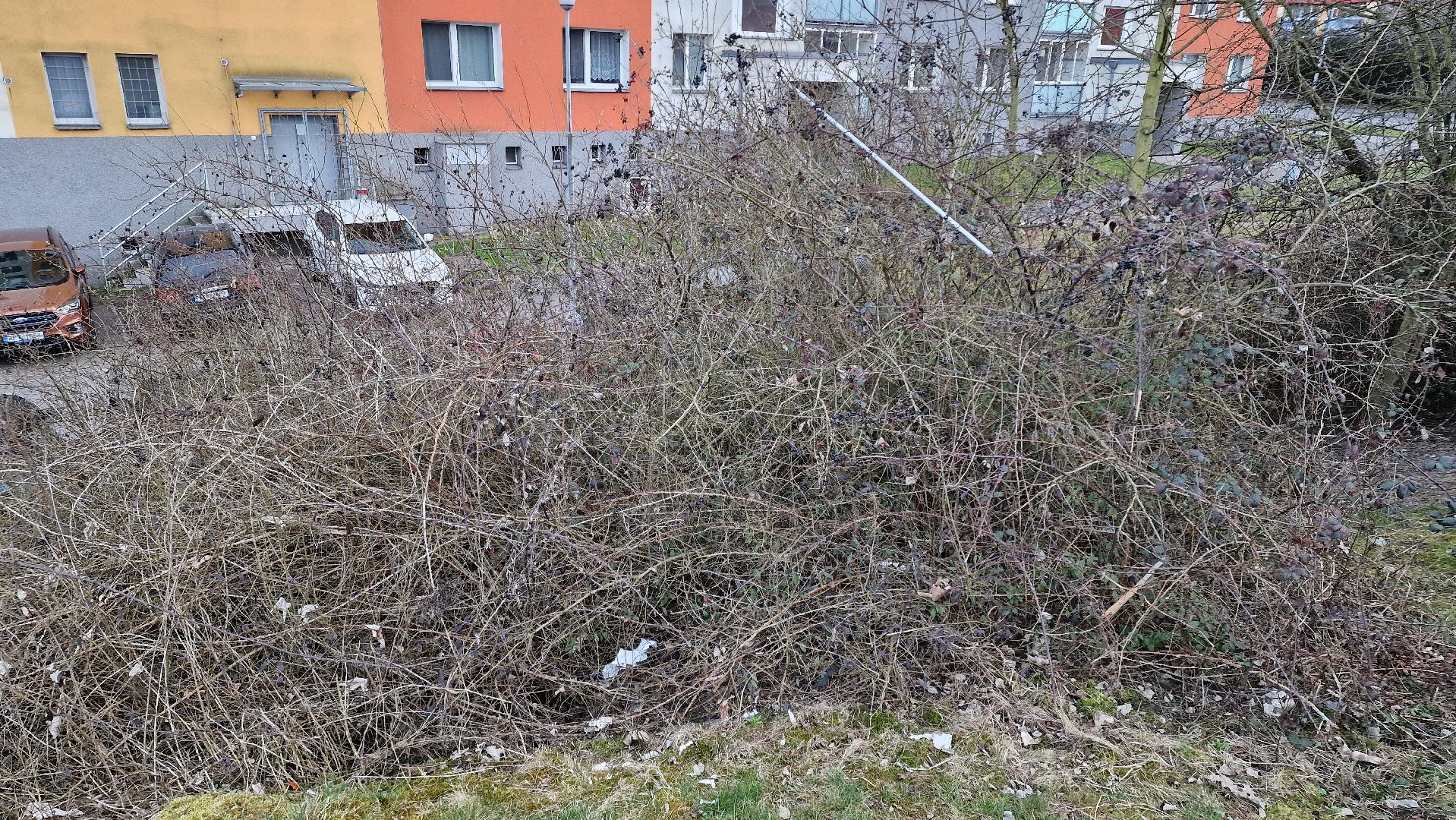 Fotografie nahlášení