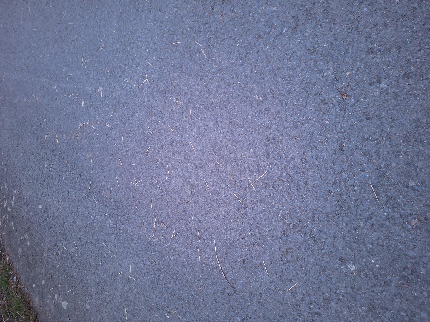 Párátka na chodníku