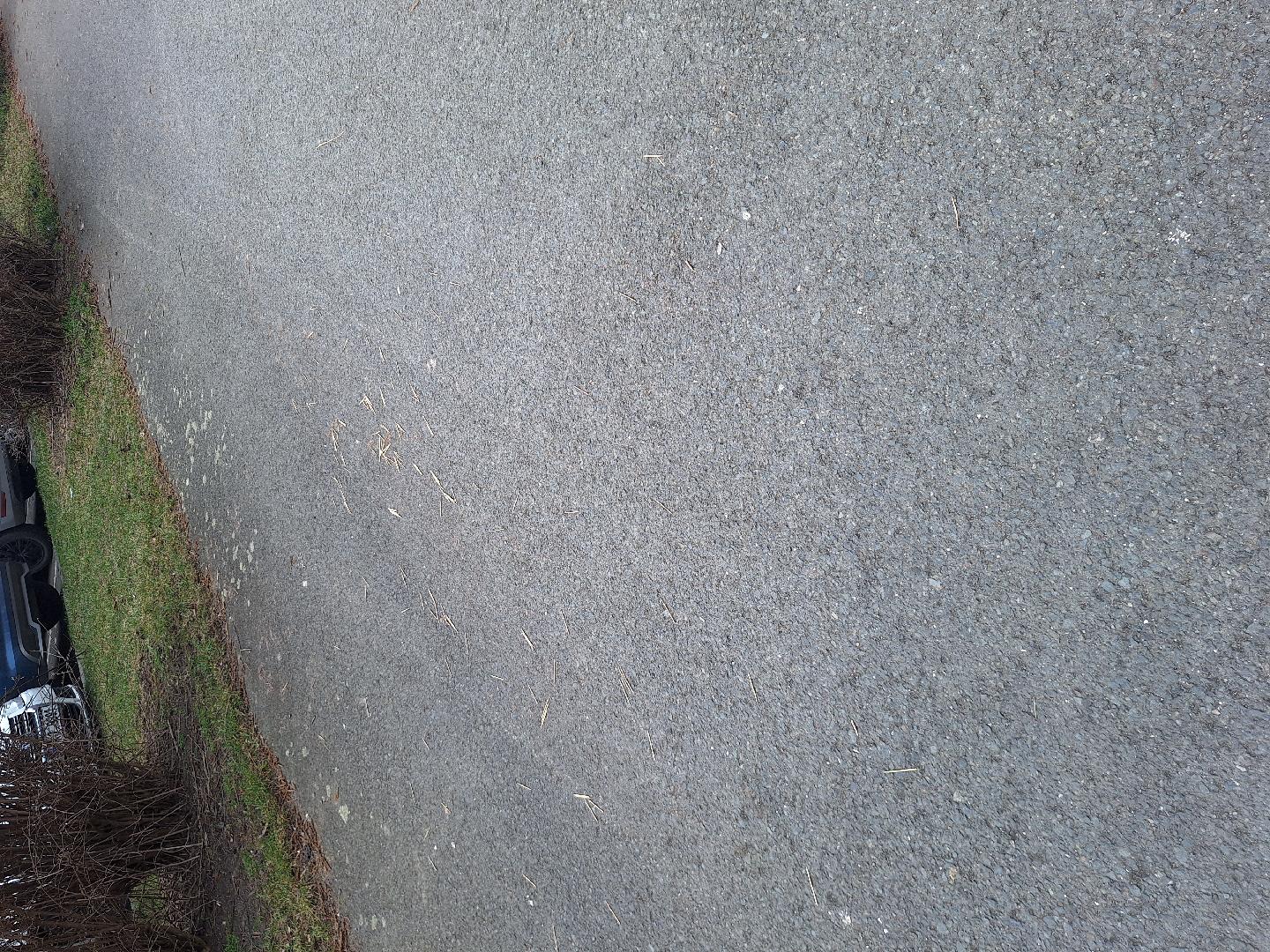 Párátka na chodníku