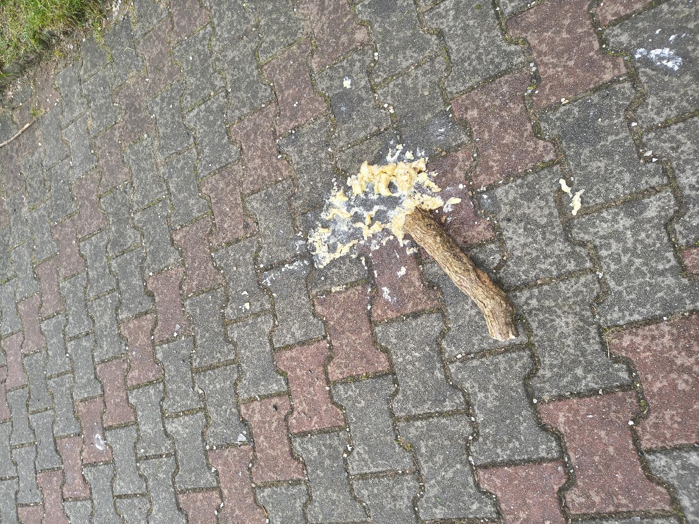 Fotografie nahlášení