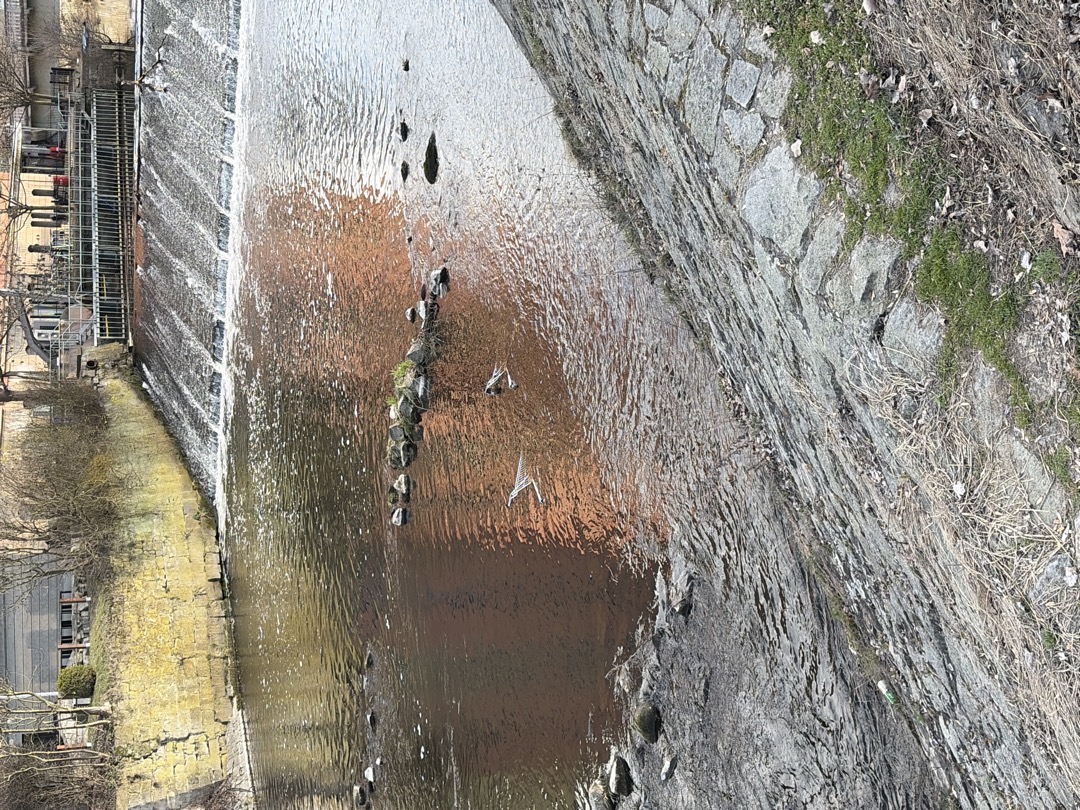 nákupní košíky v řece