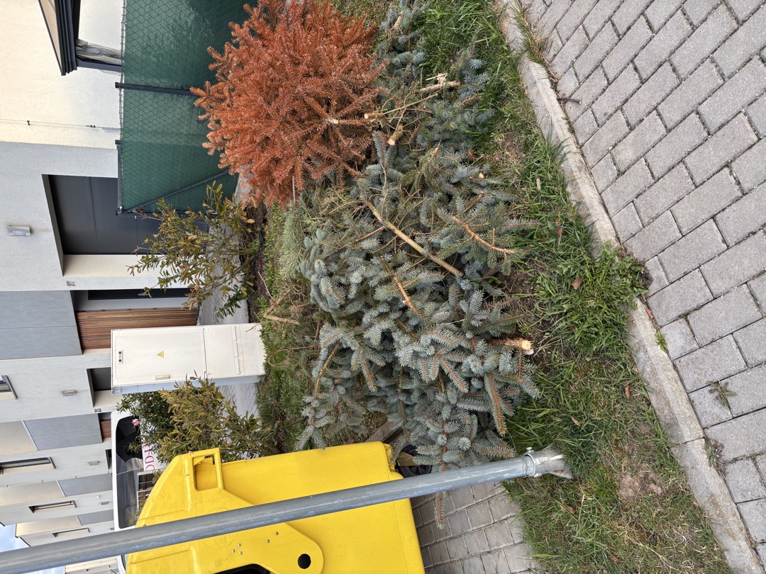 Fotografie nahlášení