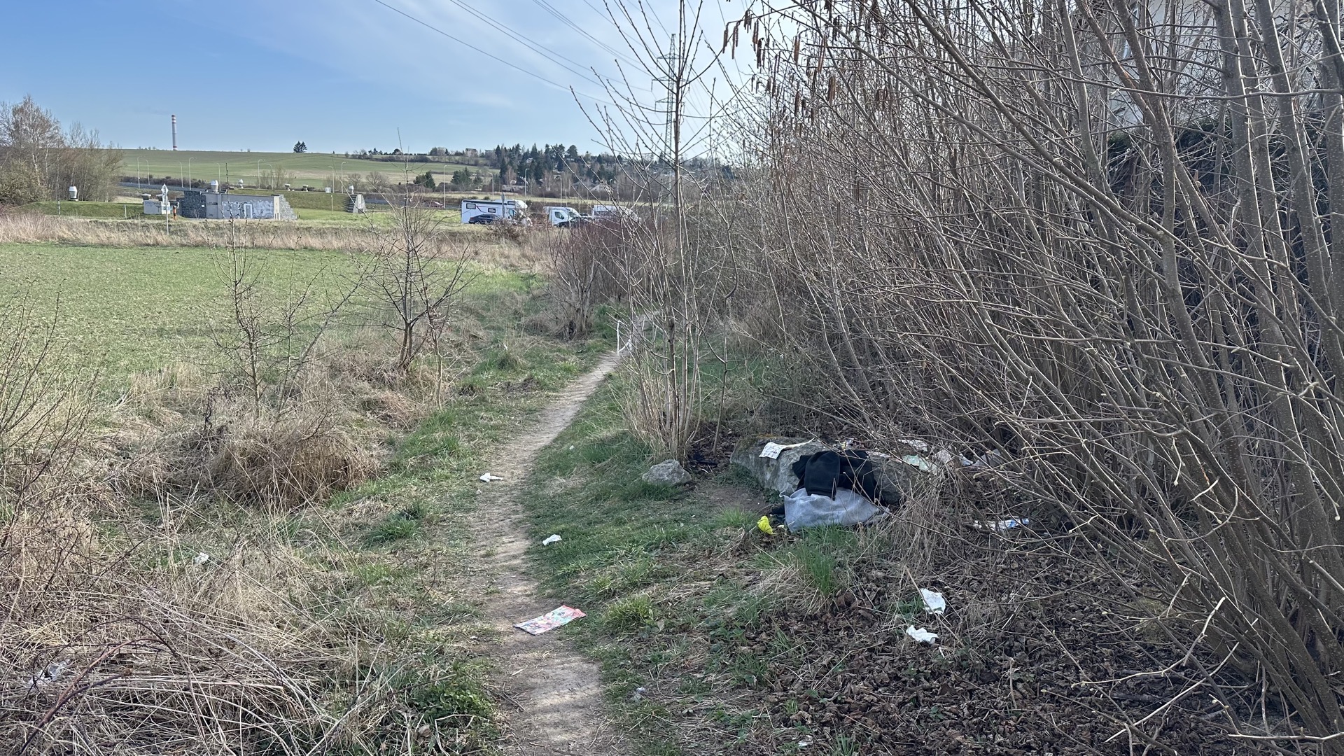 Nepořádek u křoví, vysekat?