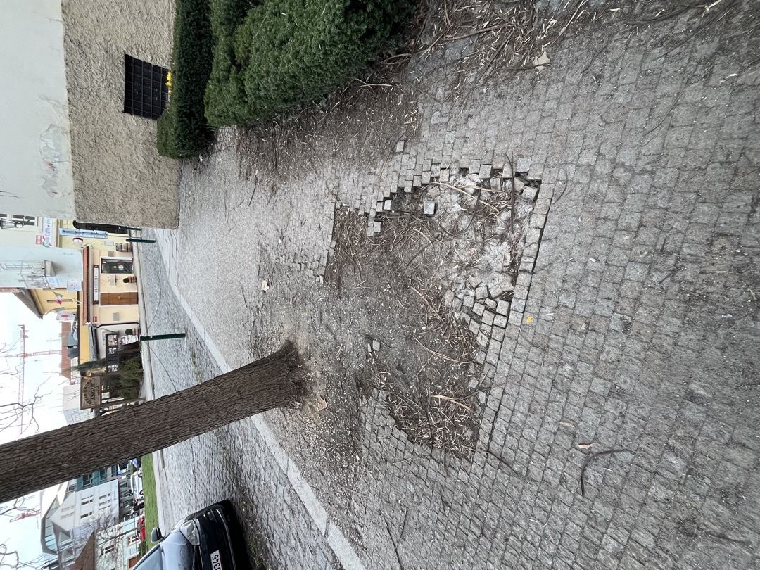 Fotografie nahlášení