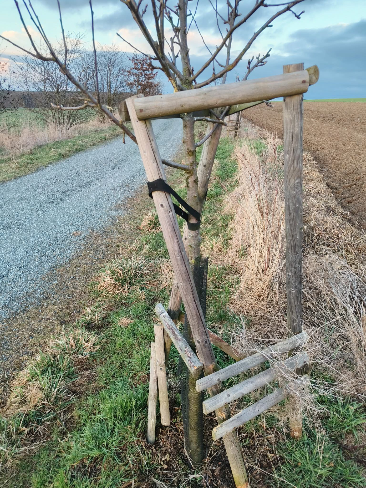 Podpůrné ohrady stromů