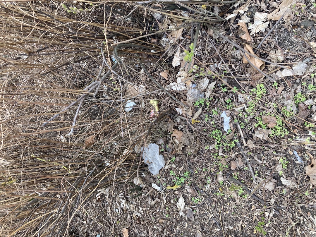 Parkoviště Studentská