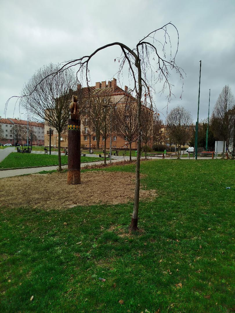 Fotografie nahlášení