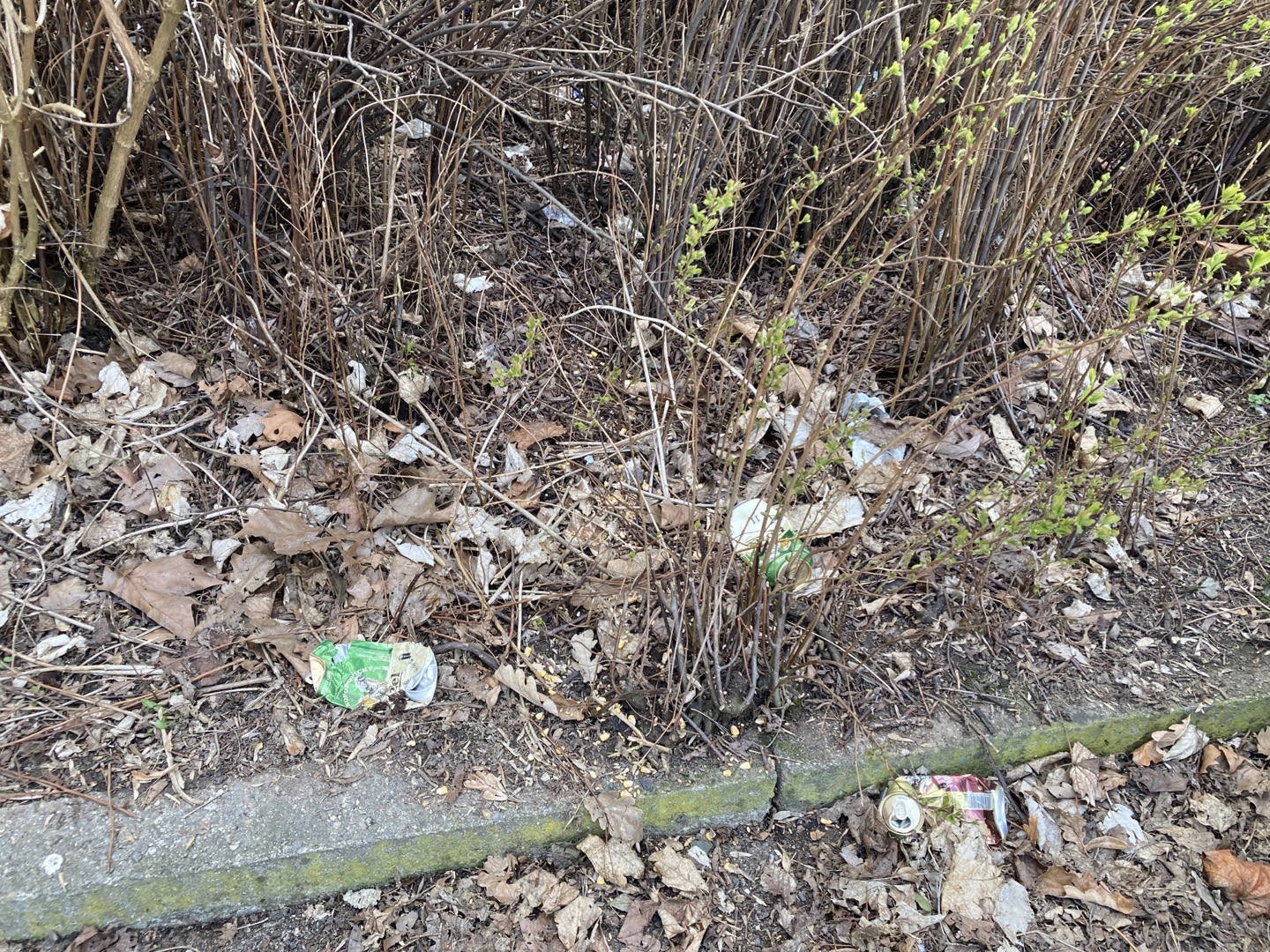 Parkoviště Studentská