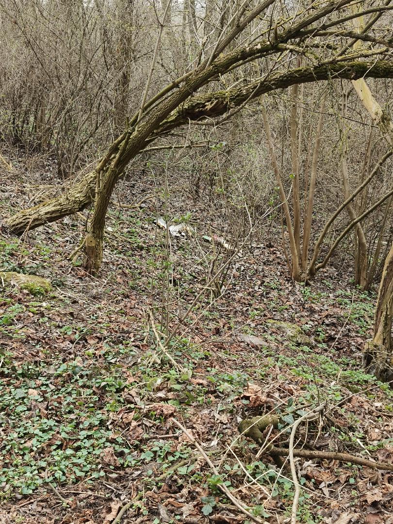 Nepořádek za zámkem