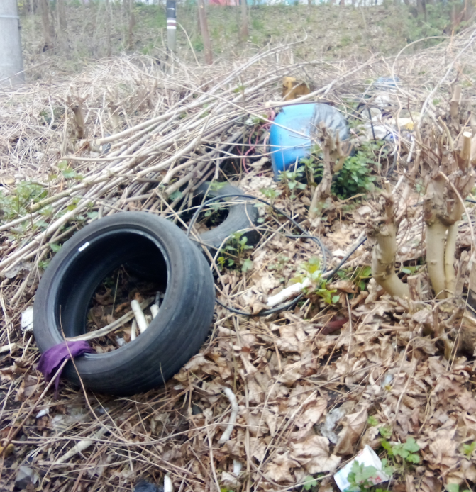 Počínající černá skládka