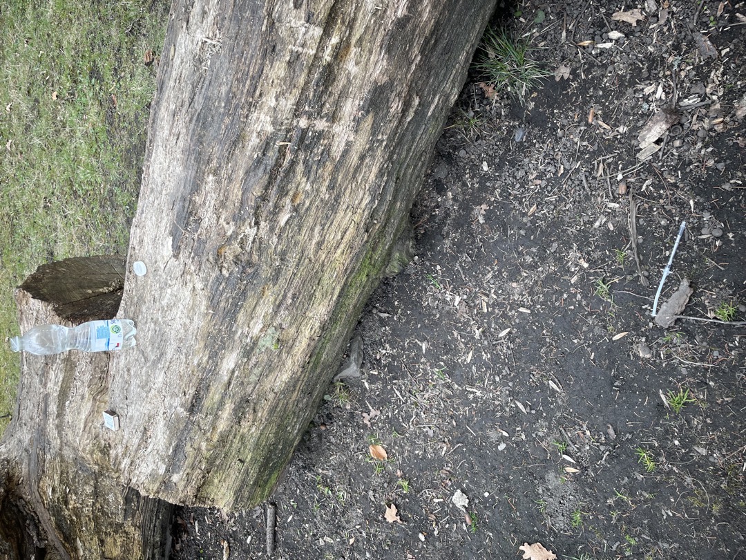 injekční stříkačka 