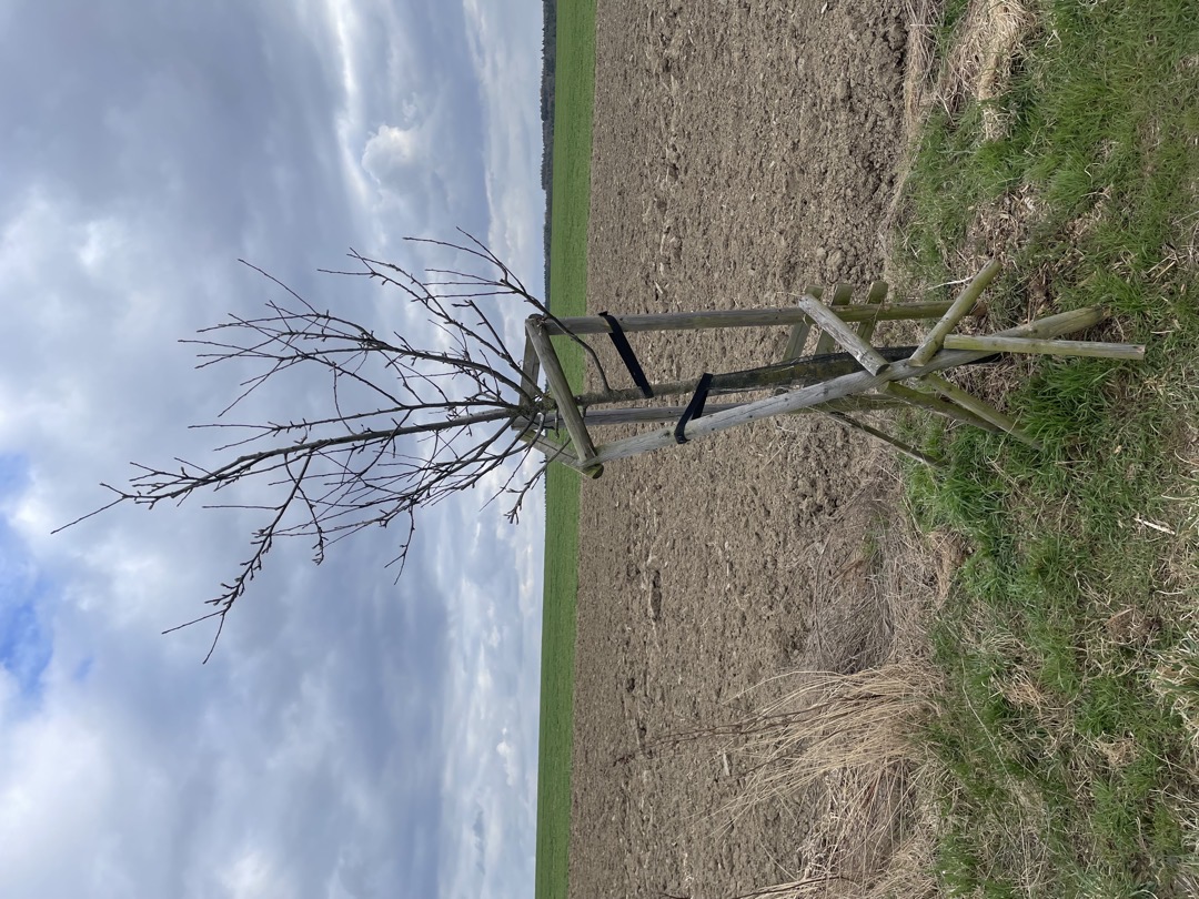 Fotografie nahlášení