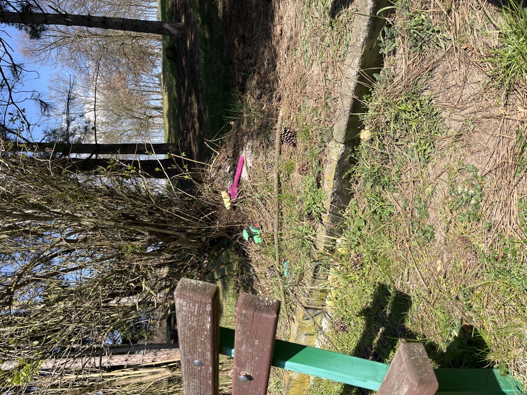 Mraveniště u dětského písku