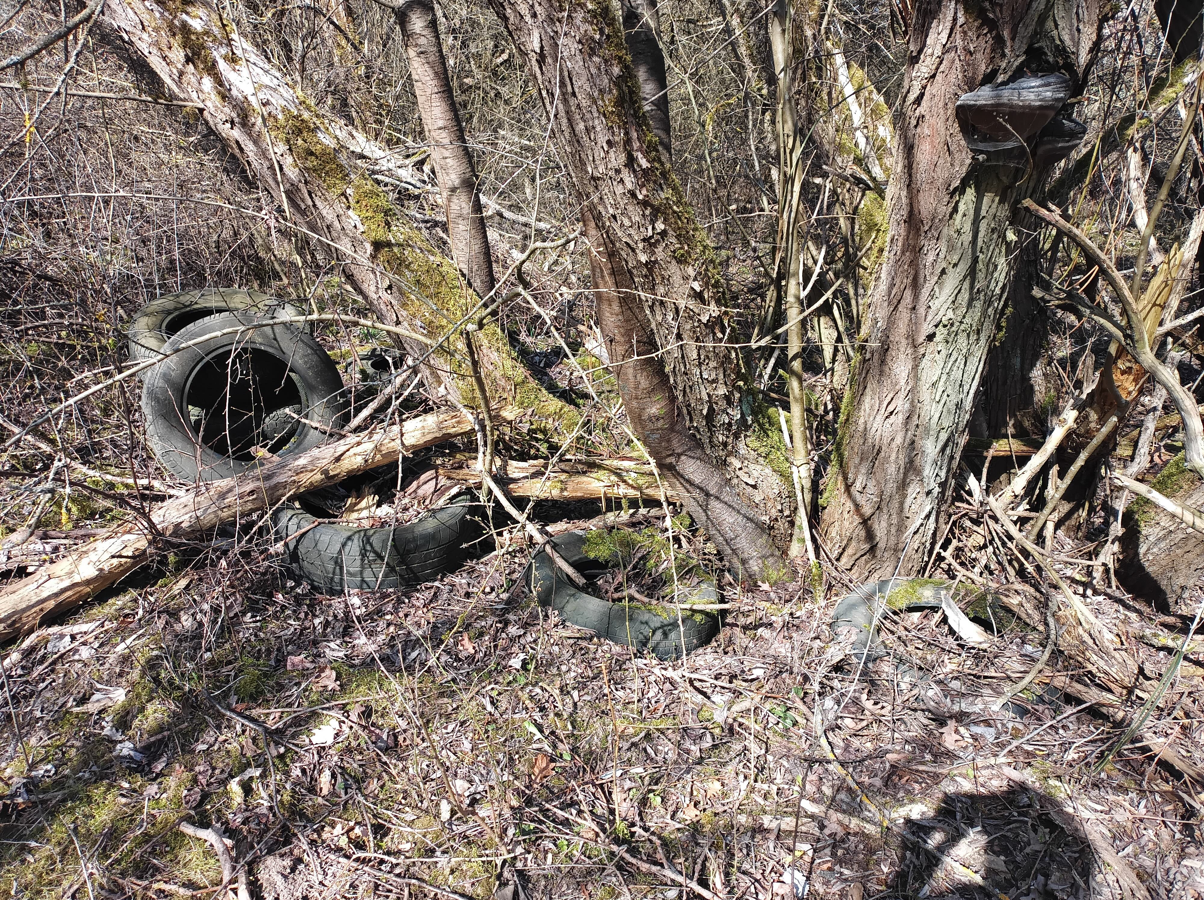 Pneumatiky odhozené v lese