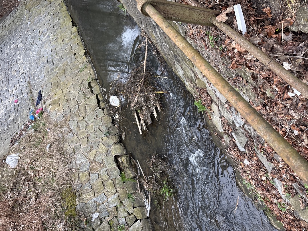 odpadky černá skládka