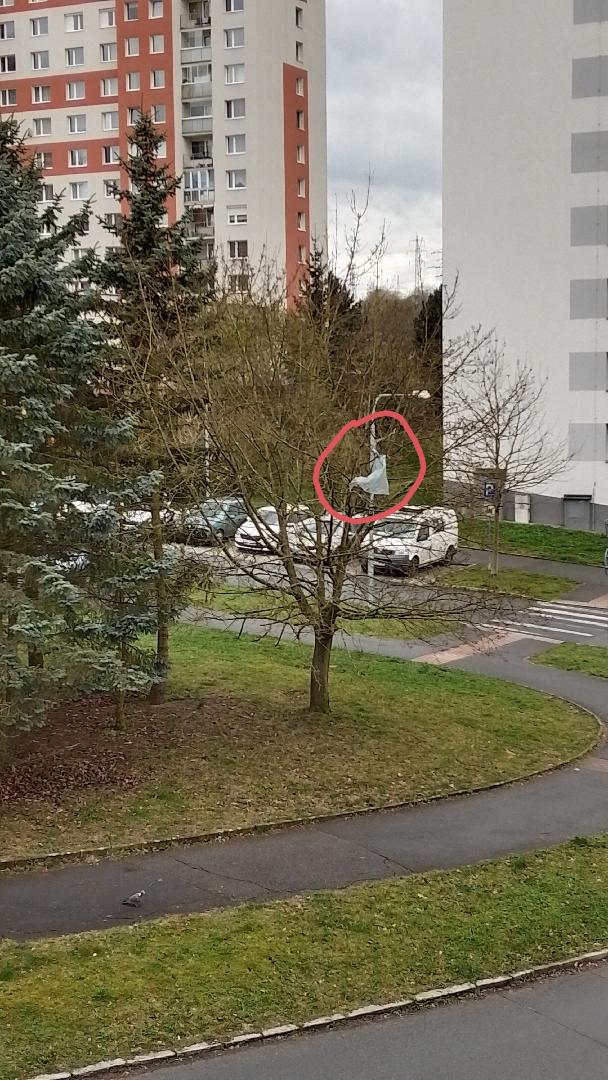 Fotografie nahlášení