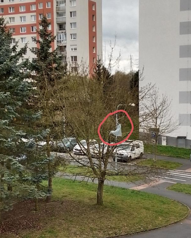 Igelitový pytel na stromě