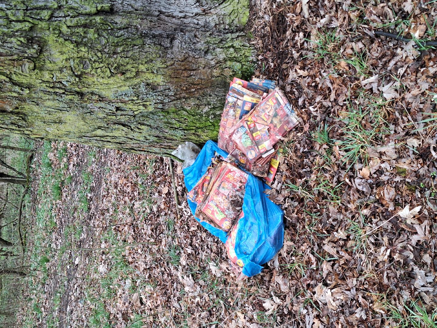 Fotografie nahlášení