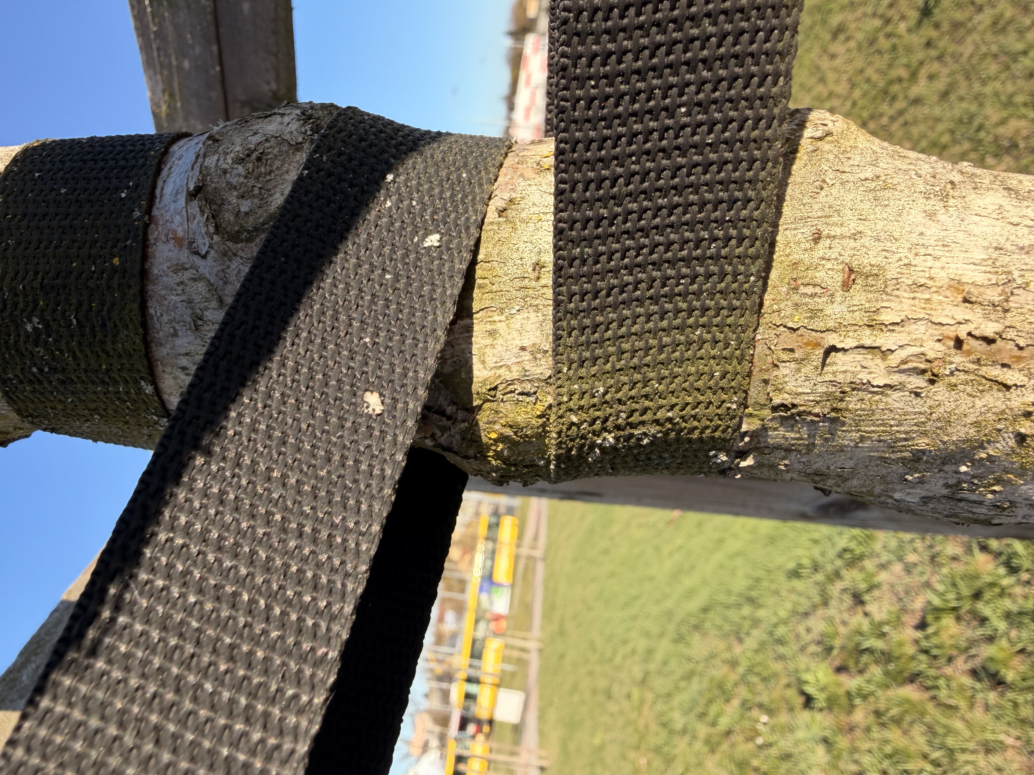 Utažené pásky u stromů