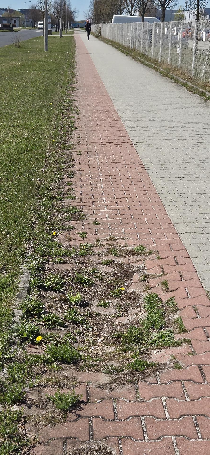 Výmol na cyklostezce