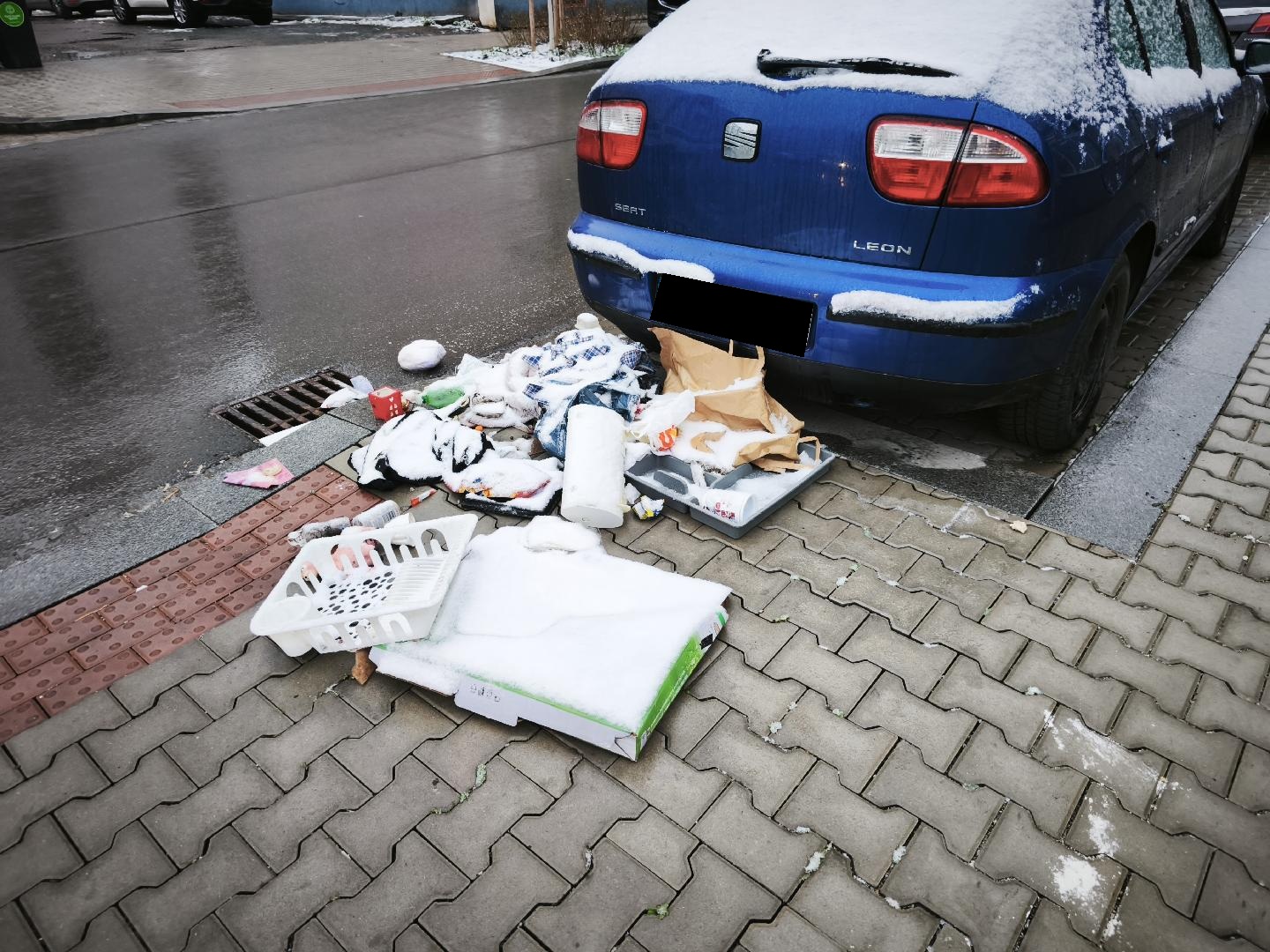 Zakládání černé skládky