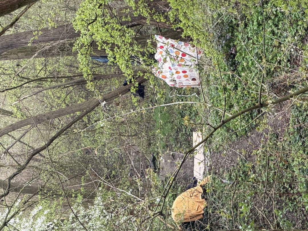 Stan v parku u Ježíška 