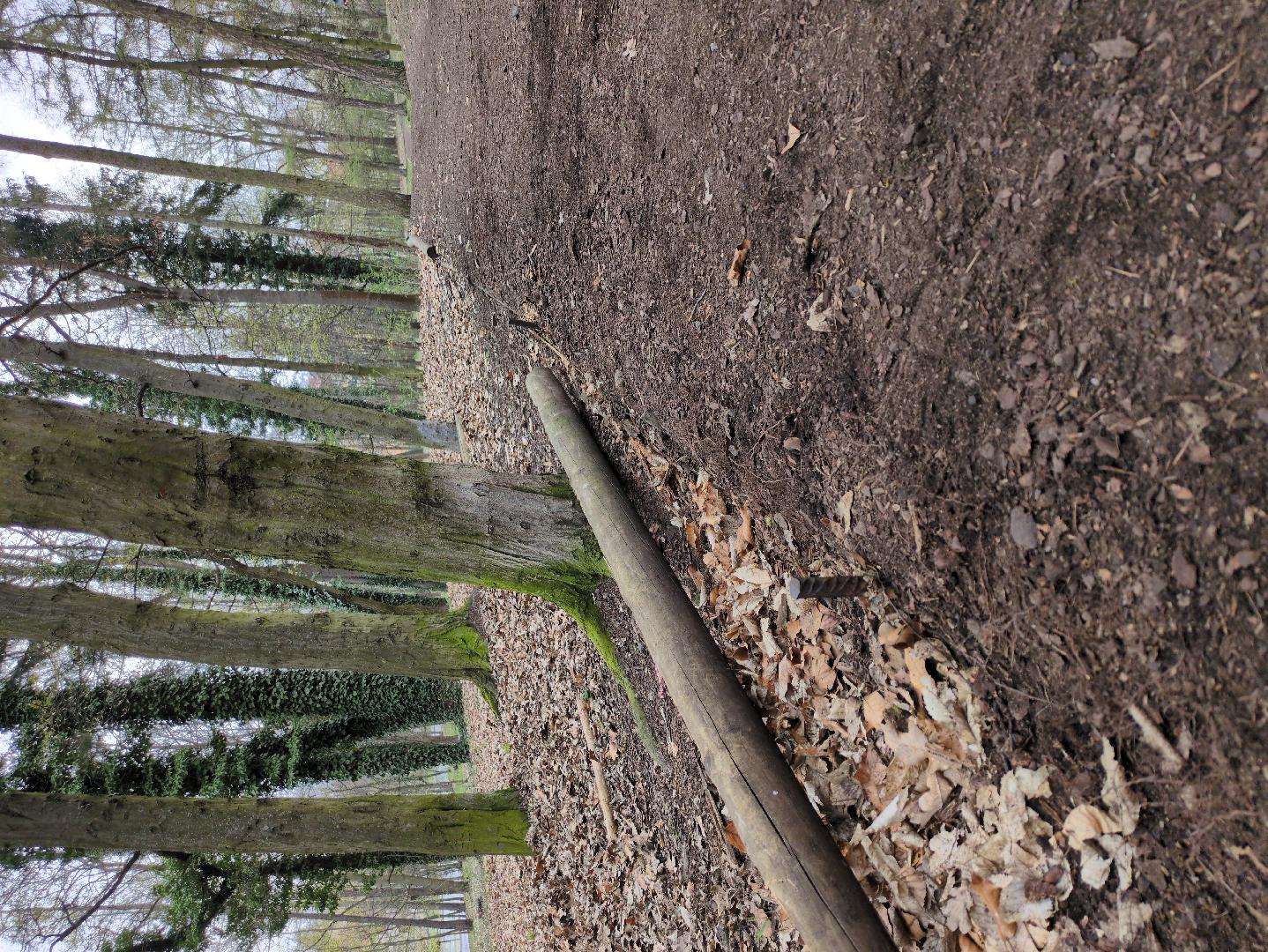 rozpadle obruby cestičky 