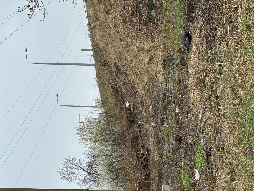 Fotografie nahlášení