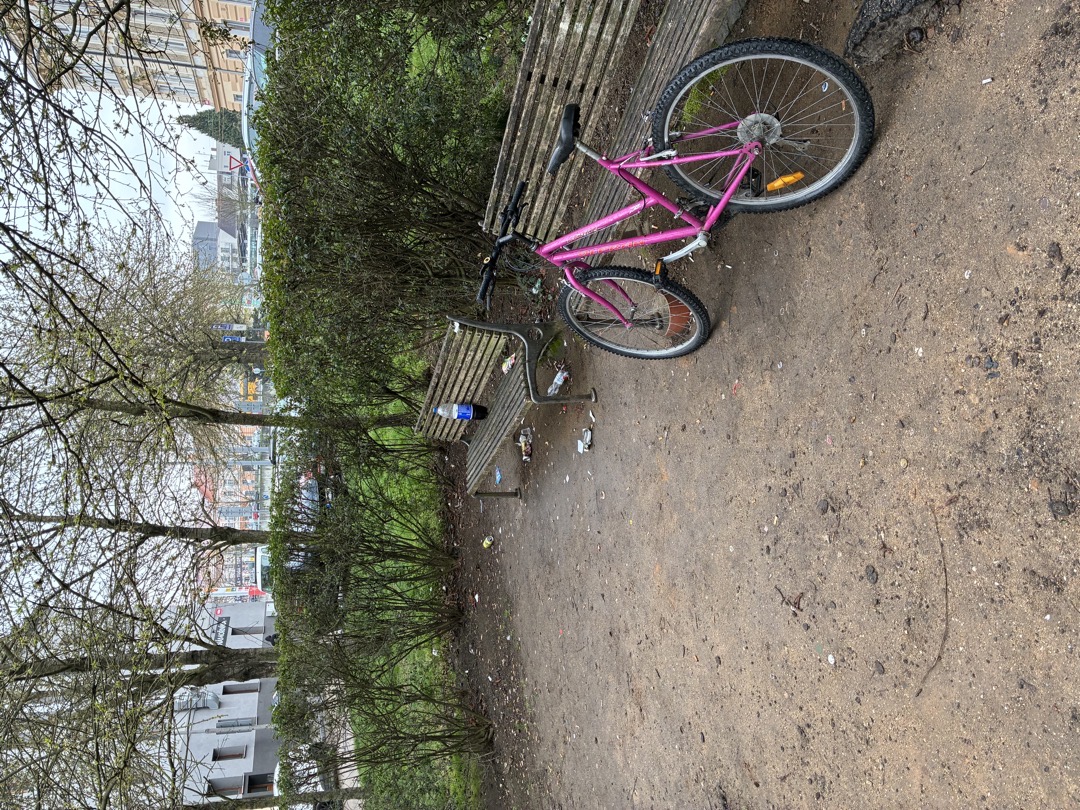 Fotografie nahlášení