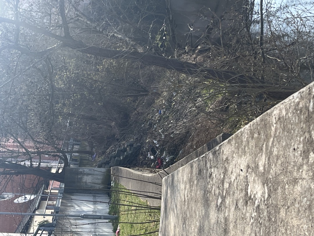 Nepořádek a údržba 