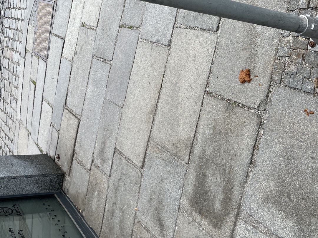 Psí a lidské výkaly