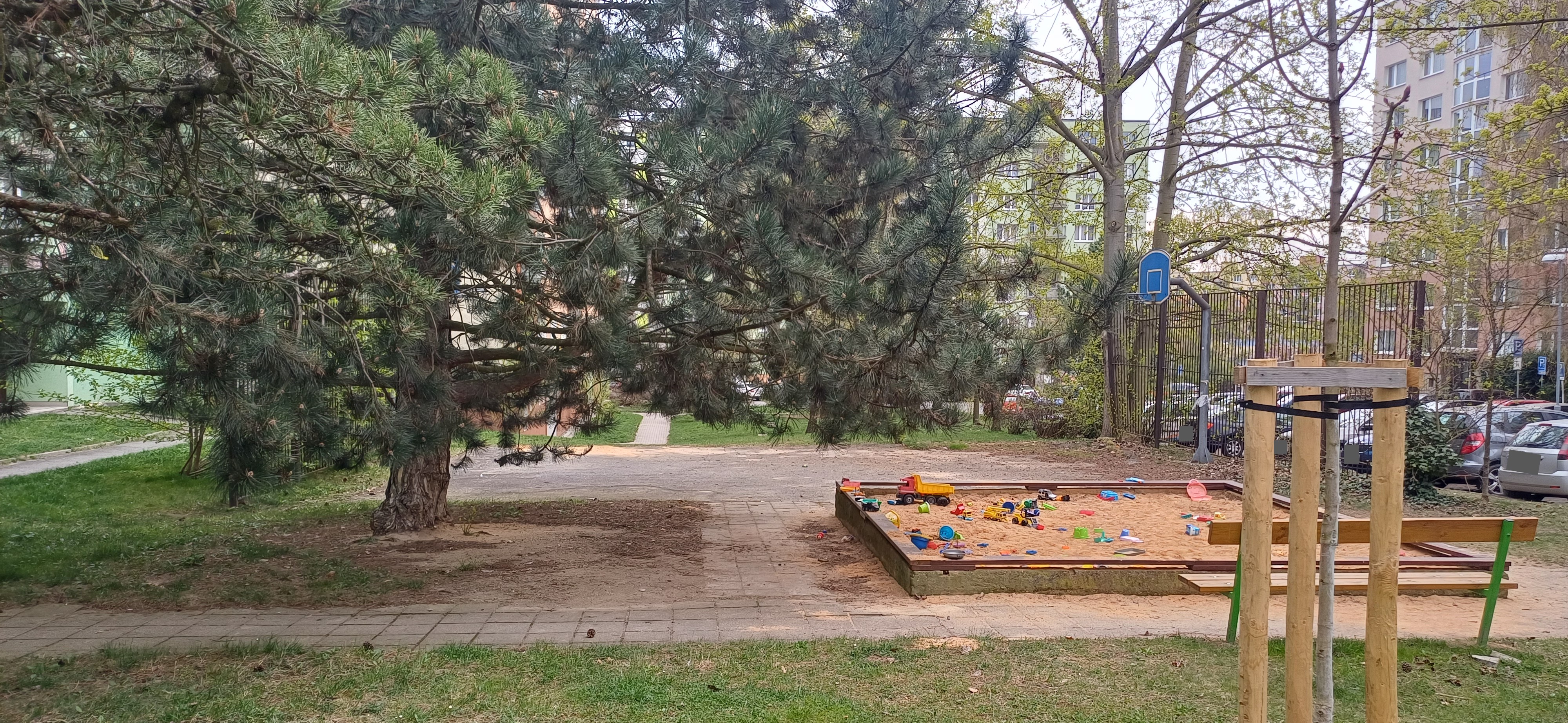 Přesahující větve - nebezpečné