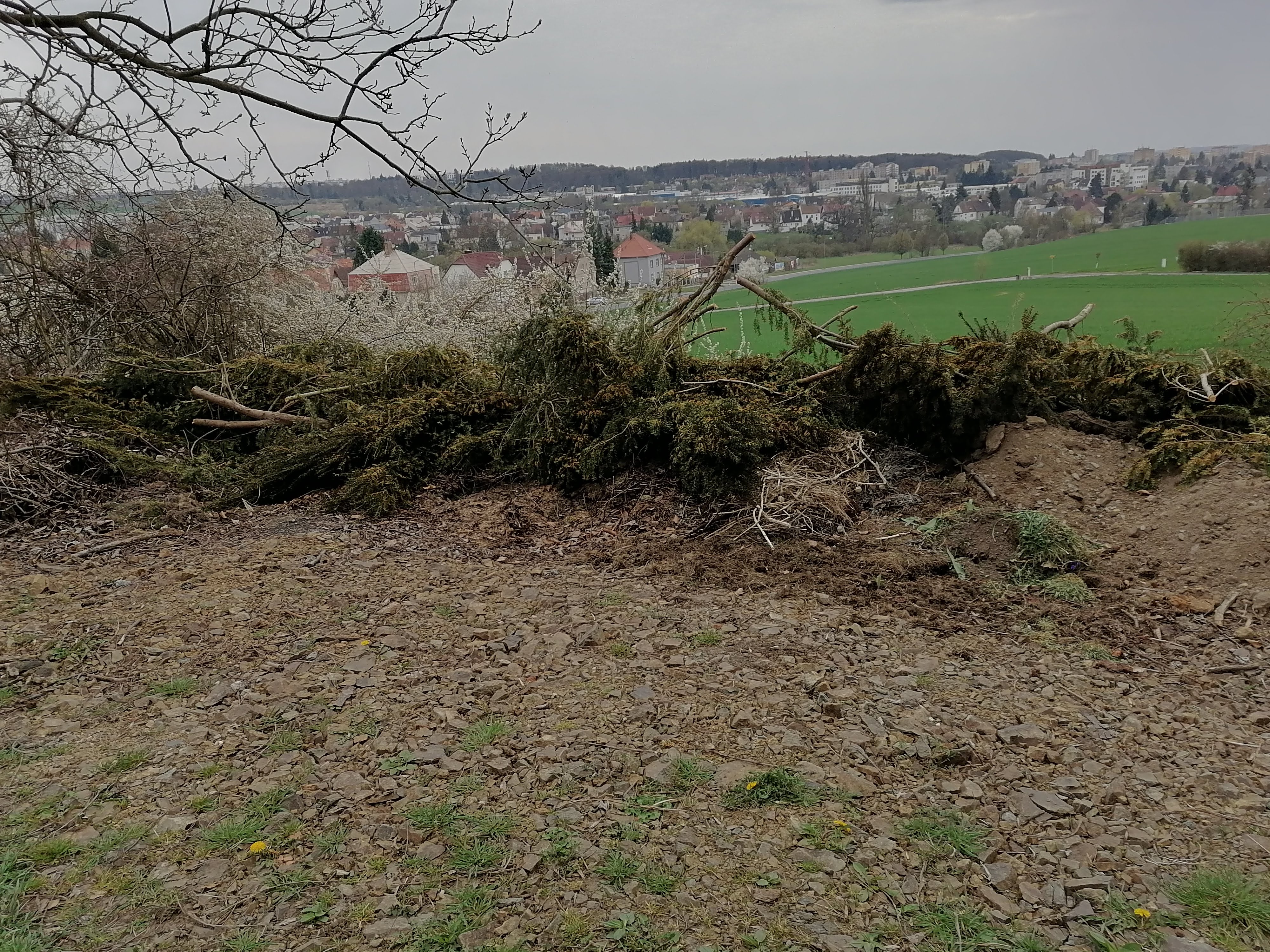 NEPOVOLENÁ SKLÁDKA