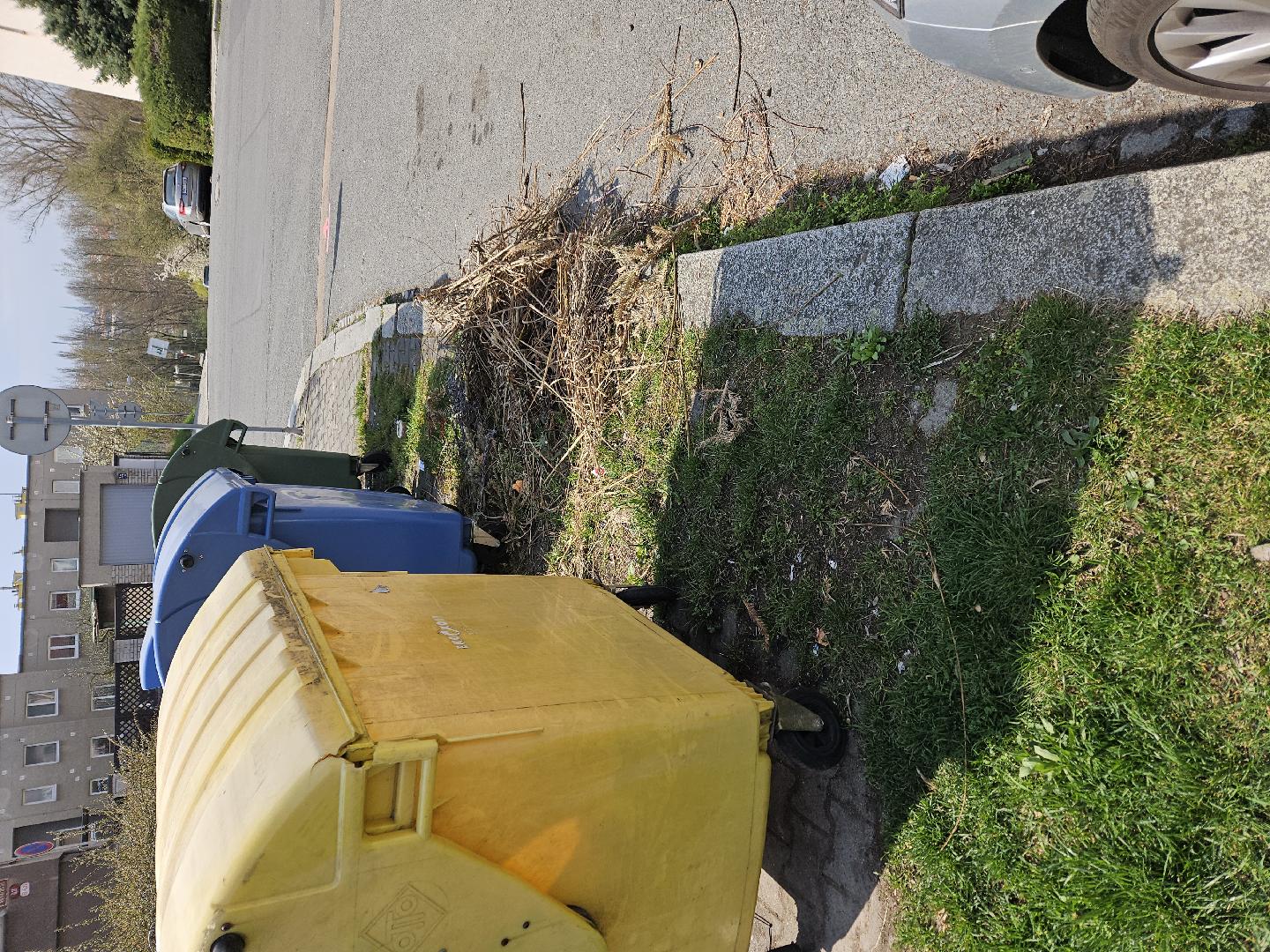 Nepořádek u kontejnerů