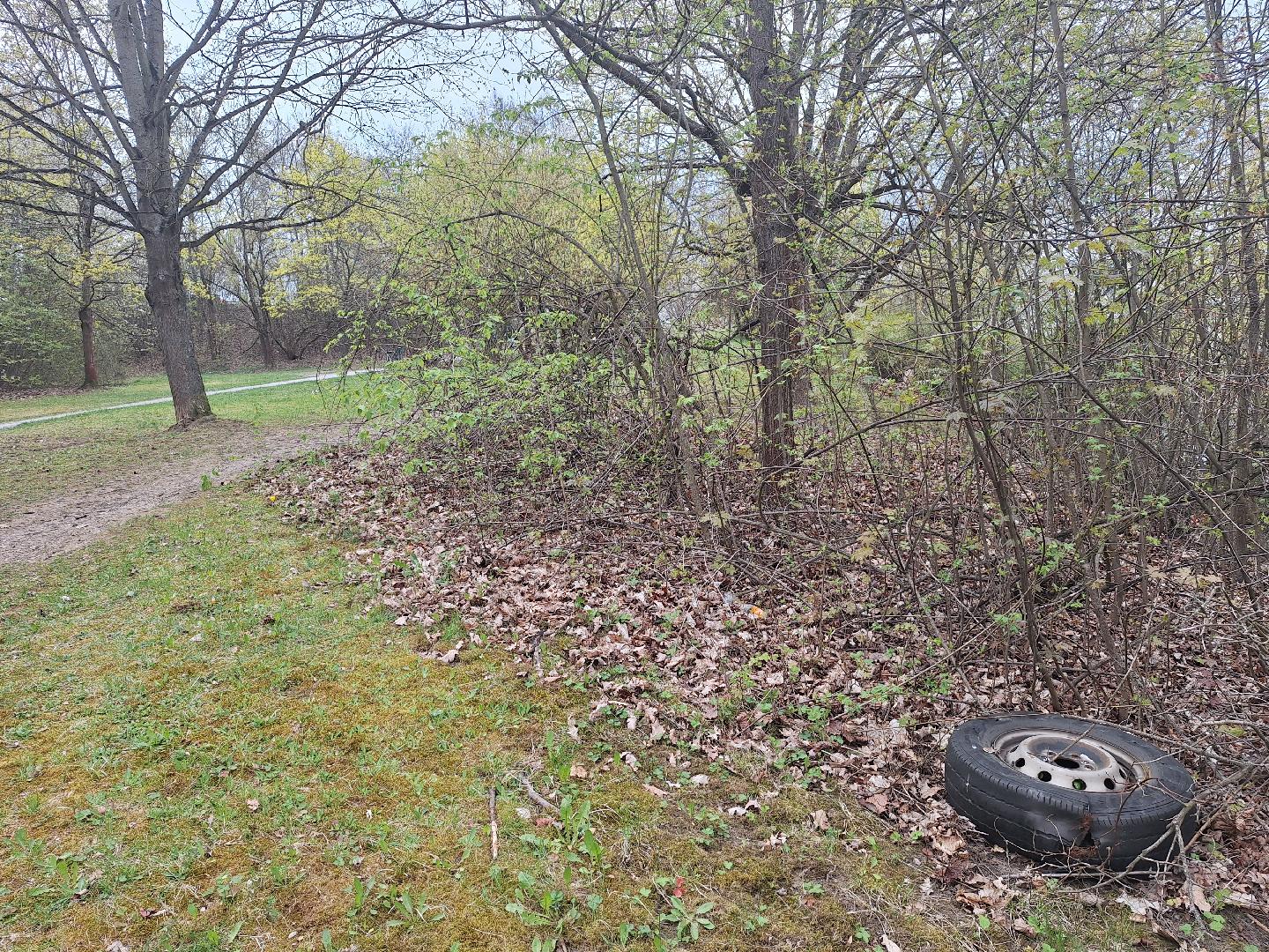 nepořádek,  pneumatika