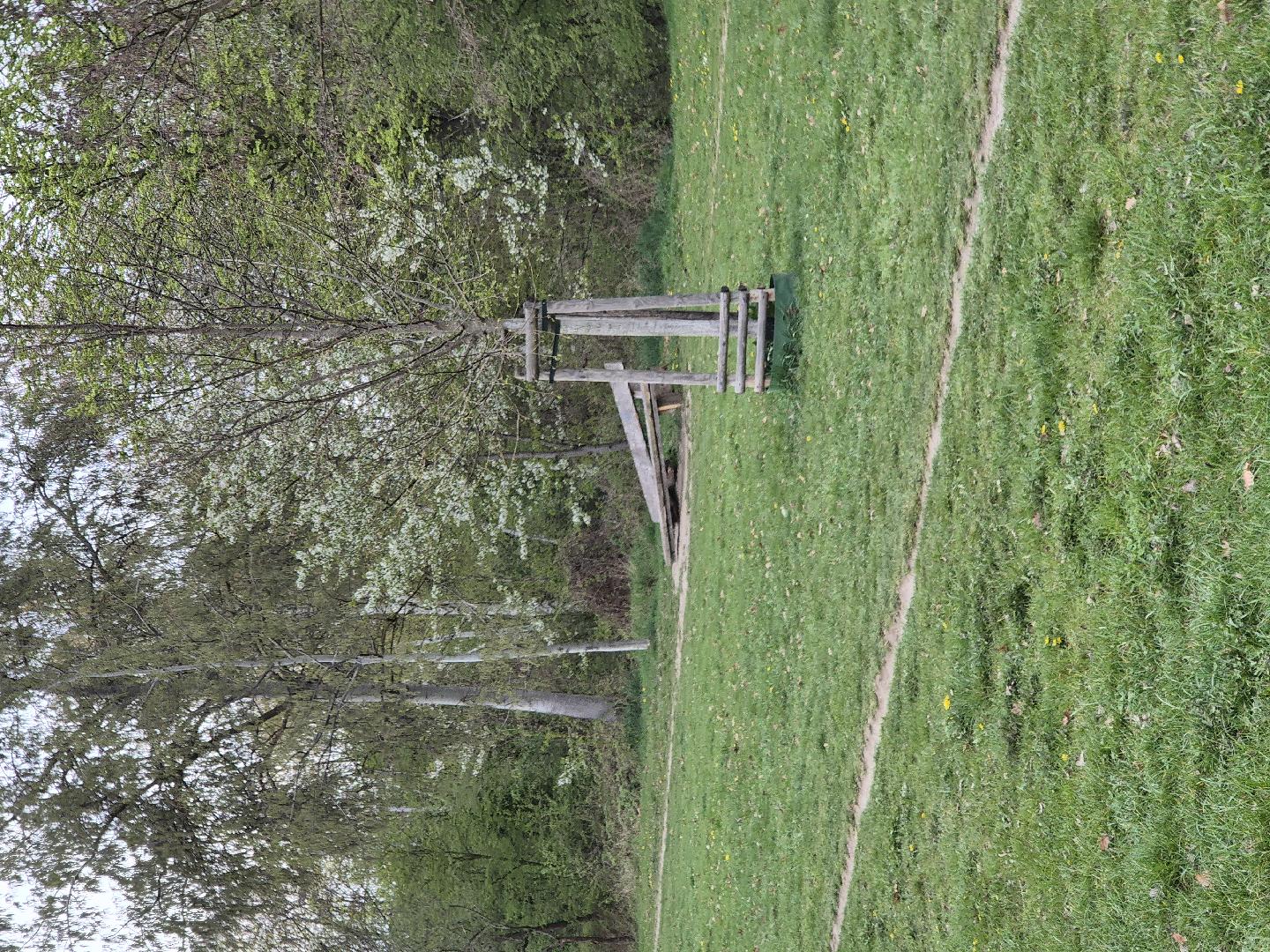 Fotografie nahlášení