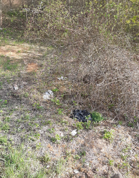 Odpadky podél pěšiny