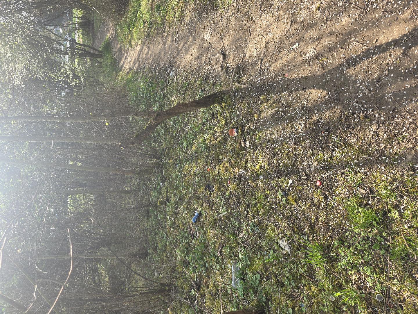 Odpadky podél pěšiny