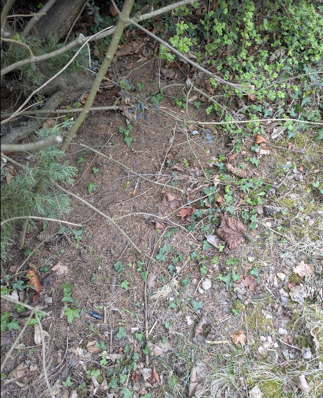 Odpadky + stříkačky